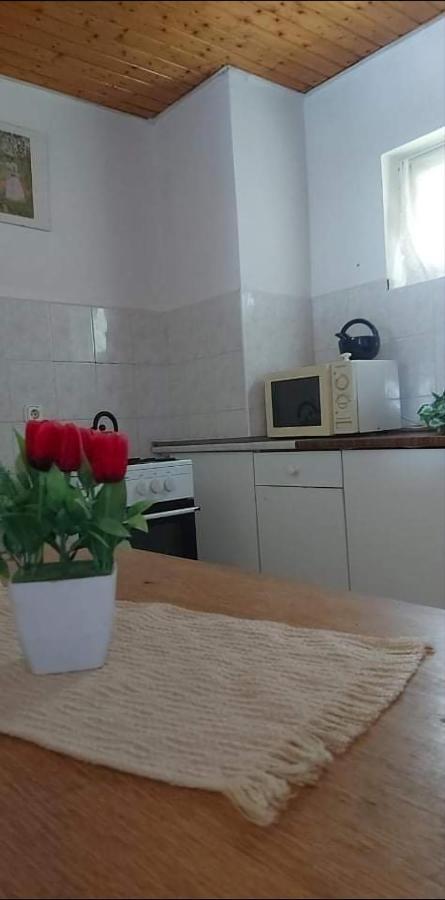 Badacsonyi Pihenes Privat Berlemeny Hotel Badacsonytomaj Exterior photo